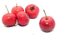 山楂有什么样的营养价格 吃山楂的禁忌有哪些