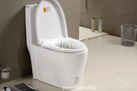 约30%坐便器不符合国家标准 蒙达丽莎等上榜