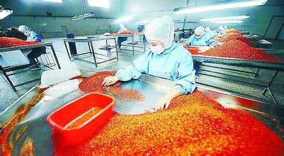 玉米收储制度改革全面启动 市场定价 农民不吃亏