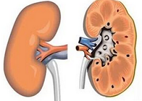 能判断肝脏出现毒素的几个方面