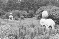 梁代昭明太子陵墓考古获进展 陵园遗迹被发现