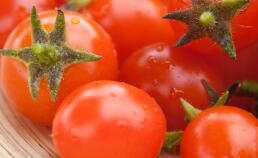如何挑选优质的西红柿