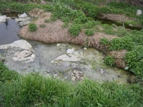 云南 损害生态环境终身追责