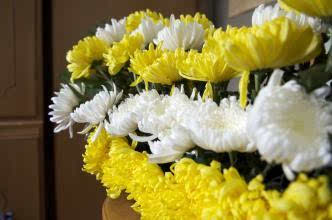 让绿色祭祀文化彰显时代进步文明