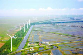 罗云坝建起友福草莓种植科普示范基地