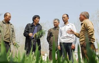 平邑千名&ldquo;土专家&rdquo;成田间地头&ldquo;香饽饽&rdquo;