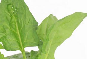 吃货你爱吃可是你会挑吗