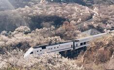 莫让不文明&ldquo;玷污&rdquo;了花海之美