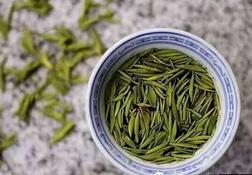 清明养生不能缺少明前茶