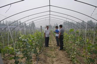 节能高效设施园艺装备项目进展顺利