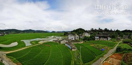 隆寨村 绿水青山铸就生态致富路
