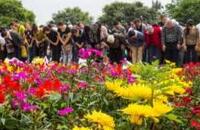 花葬是一种简约而不简单的境界