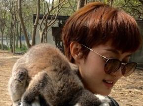 邓超孙俪一家开心逛动物园 等等乖巧喂猴