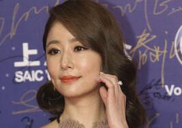 林心如晒美照秀包包 其实人比包更可爱