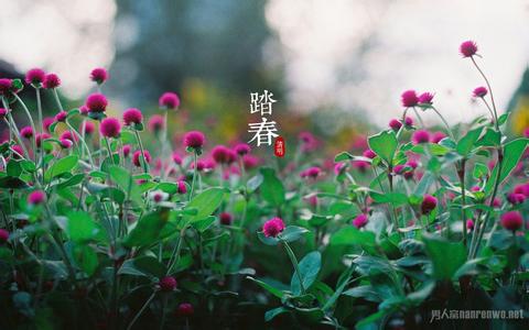 清心明志的寓言