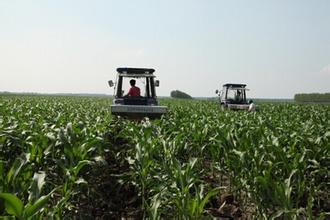 吉林确保粮食播种面积7600万亩以上