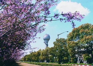 2015年全国土地出让收入33657亿 同比降两成