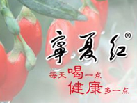 宁夏红集团董事长张金山：苦心酿出枸杞酒