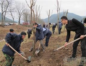 村官钻漏洞 折射报账系统需升级
