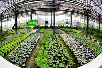 江苏多宝菌业公司走出“草菇肥”新路子