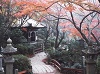 日本神社之旅   开启异国深度游