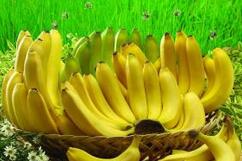 香蕉并非人人都合适 食用注意4点