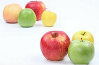 浙江宁波：便宜三成 中高档苹果受宠