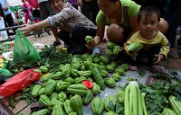 山东枣庄多数蔬菜呈现价格下降趋势