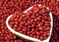 红豆的功能有很多 你知道红豆的辨别方法吗？