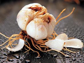 兰州百合溯源保护地理标志品牌