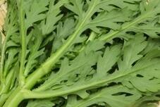 宫廷佳肴皇帝菜的神奇功效