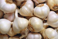 葱蒜价格一路上涨 网友：“蒜你狠”又回来了