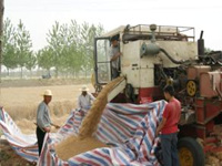 保护性耕作真正落地管理部门和企业需齐发力