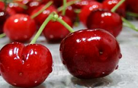 吃不起的樱桃 烟台大樱桃150元一斤