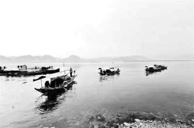 时隔8年 中华鲟科研捕捞重启