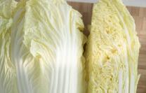 一颗白菜就能够铲除 全身脏腑的毒素