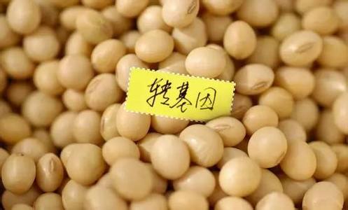 中国老百姓有权对转基因说&ldquo;不&rdquo;