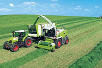 农民翻身做主 成“甩手掌柜”