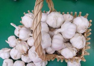 山东促“金乡大蒜”地理标志国际化