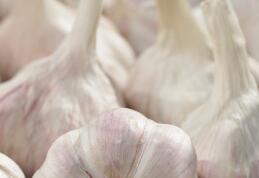 没想到抗癌高手竟是它