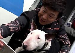 神级撞脸逗笑黄渤孙红雷 好眼熟！