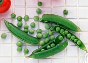 应季蔬菜最养生 春季不妨吃点豆子