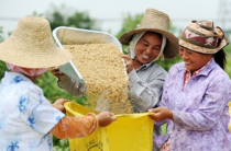 为农民脱贫致富尽一份心力
