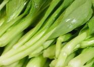 小白菜养生四大功效 媲美顶级保健品