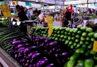 菜价涨落 相信市场力量（三农微观察）