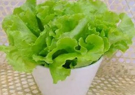 生菜有助提升免疫力 怎么吃最健康