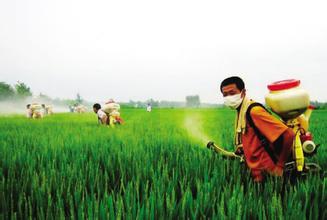 山东5年内培育50万新型职业农民