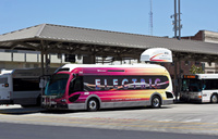 新能源车骗补继续调查：集中在客车领域