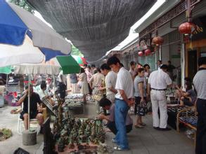 沉香谨防鳄鱼木冒充