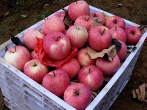 &ldquo;静宁苹果&rdquo;获全国互联网地标产品50强